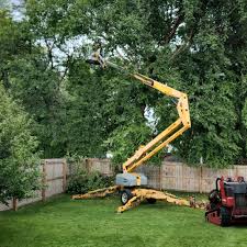 Trusted Limestone, IL Tree Services Experts