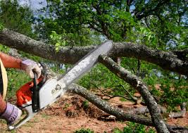 Limestone, IL Tree Services Pros