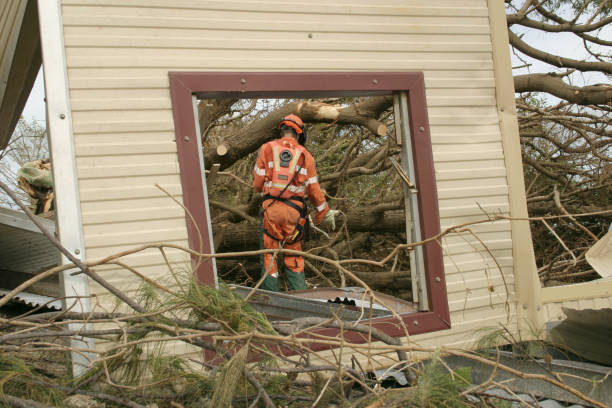 Best Emergency Tree Removal  in Limestone, IL